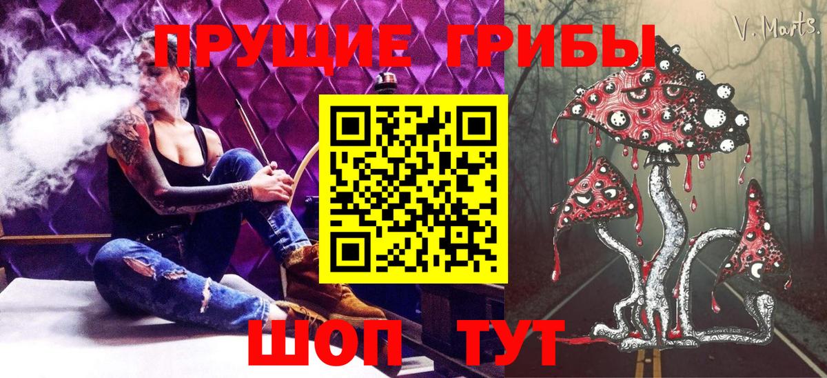 Конаково  Галлюциногенные грибы Psilocybine cubensis  Вход с VPN 
